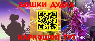 ешки Новодвинск