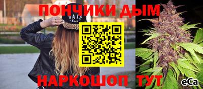 ешки Новодвинск