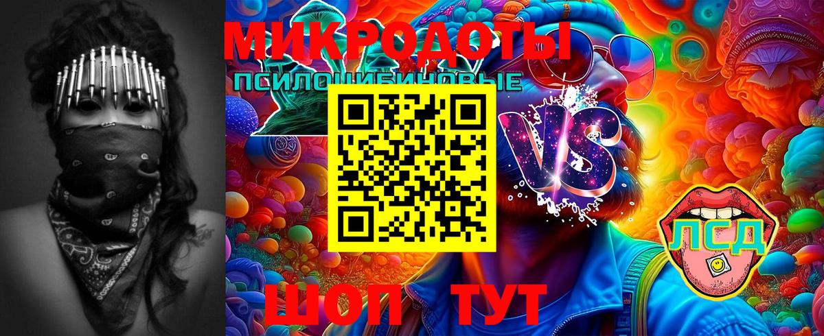 Псилоцибиновые грибы Psilocybine cubensis Ульяновск
