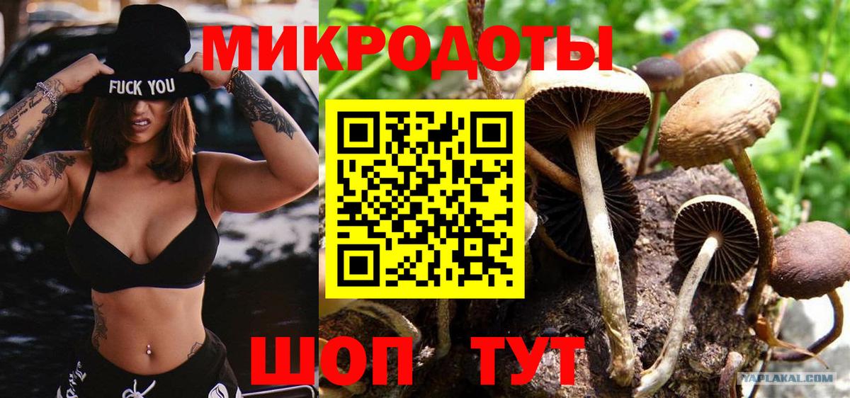 Ульяновск  Псилоцибиновые грибы Magic Shrooms  Псилоцибиновые грибы GOLDEN TEACHER  купить  цена  Вход с VPN 